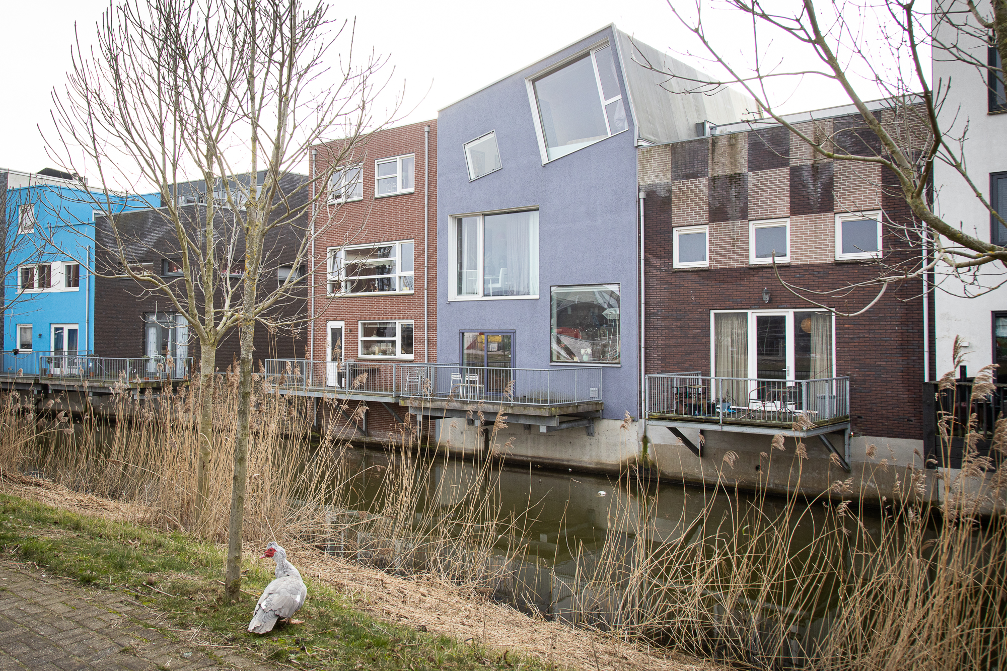 zelfbouw