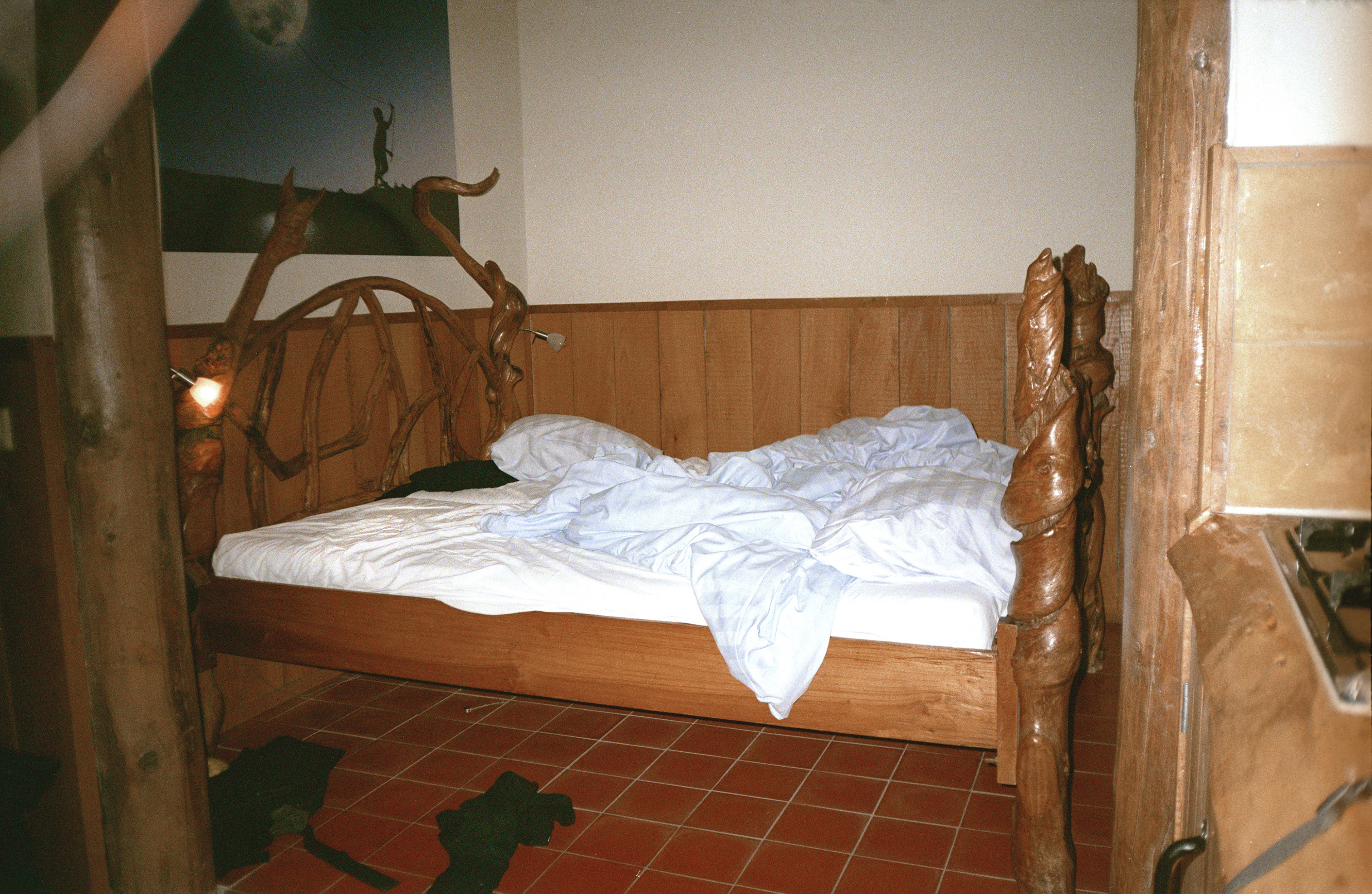 1581685726420-VICE-Schier