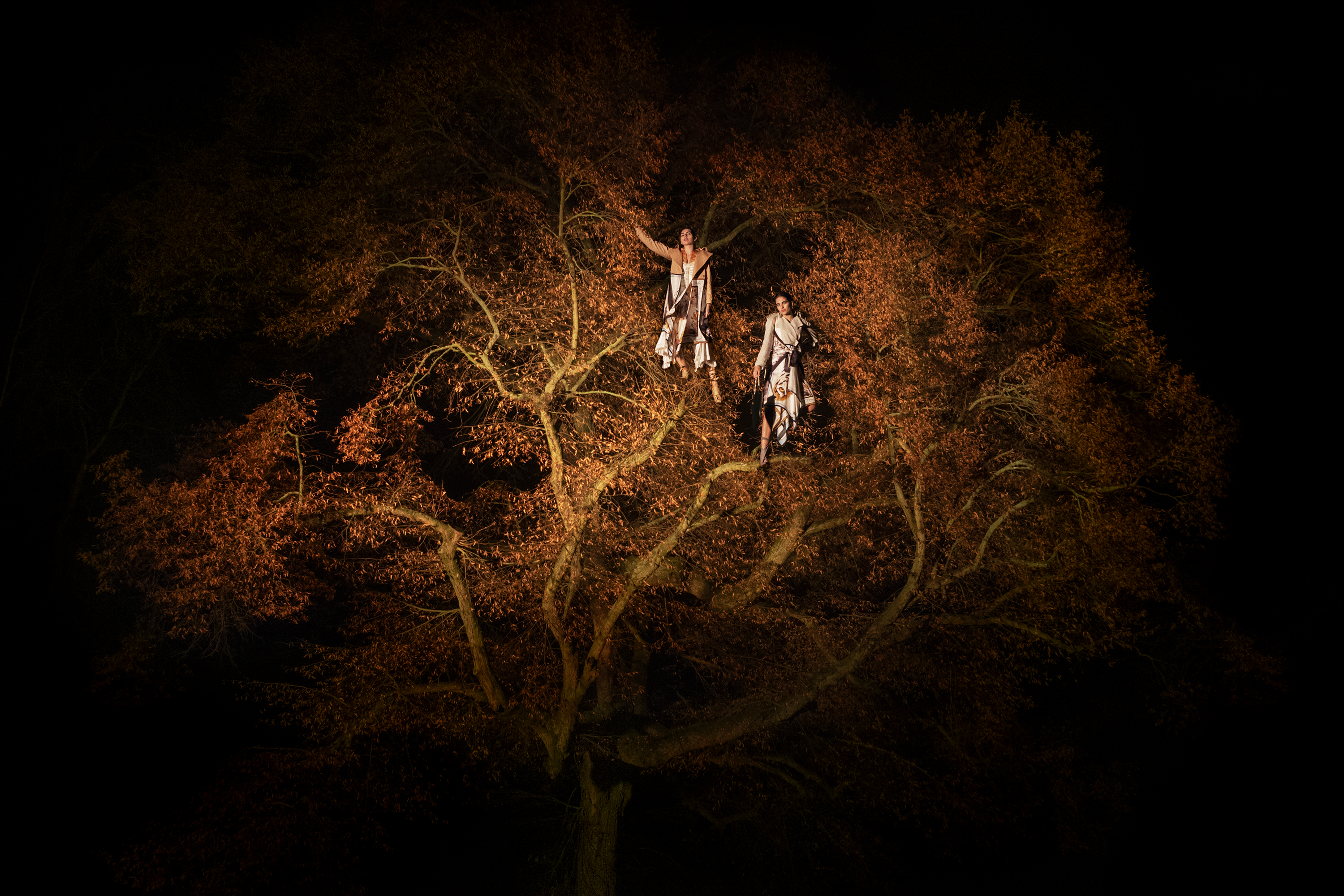 1581804850367-Trees_landscape-