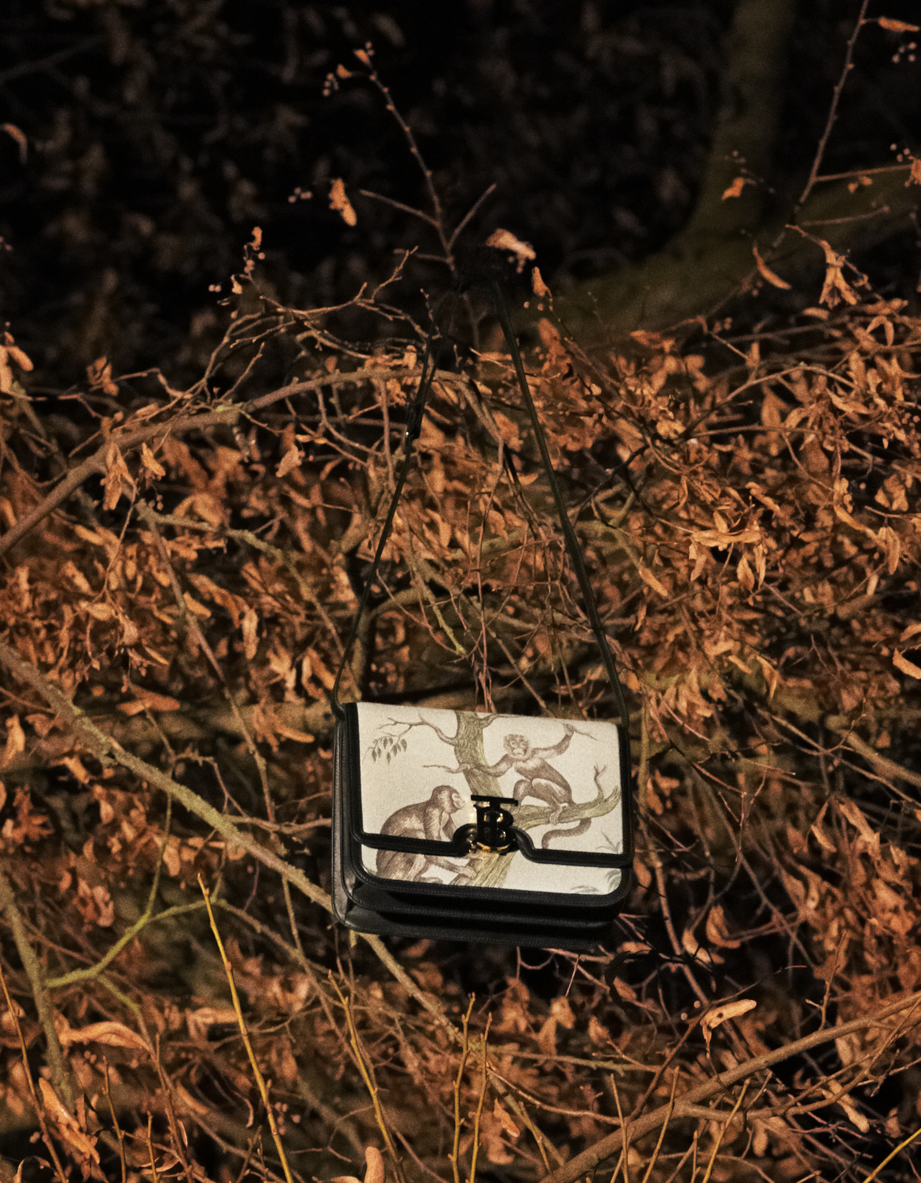 1581805009645-Trees_portrait-