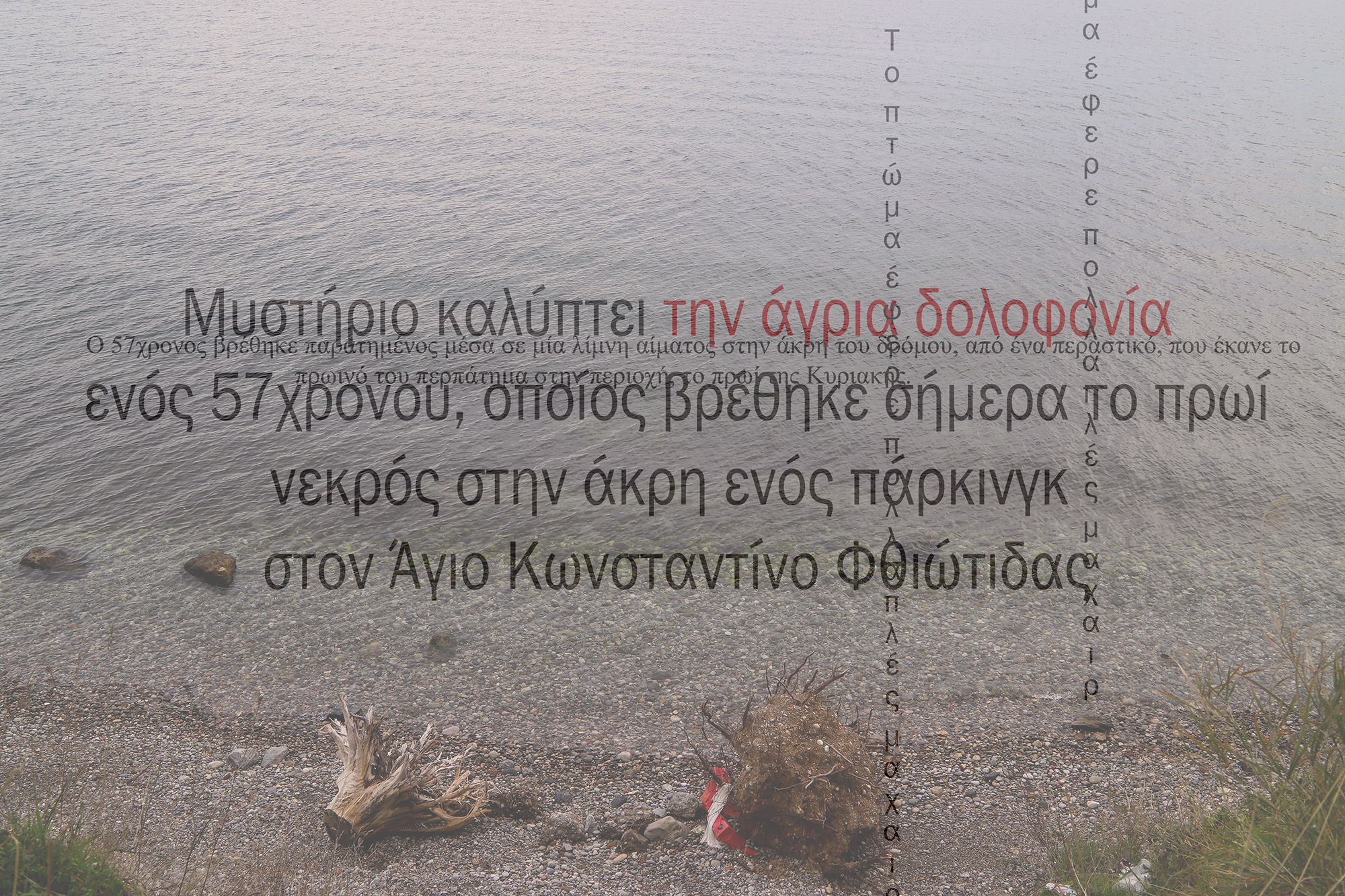 1582103619617-1a