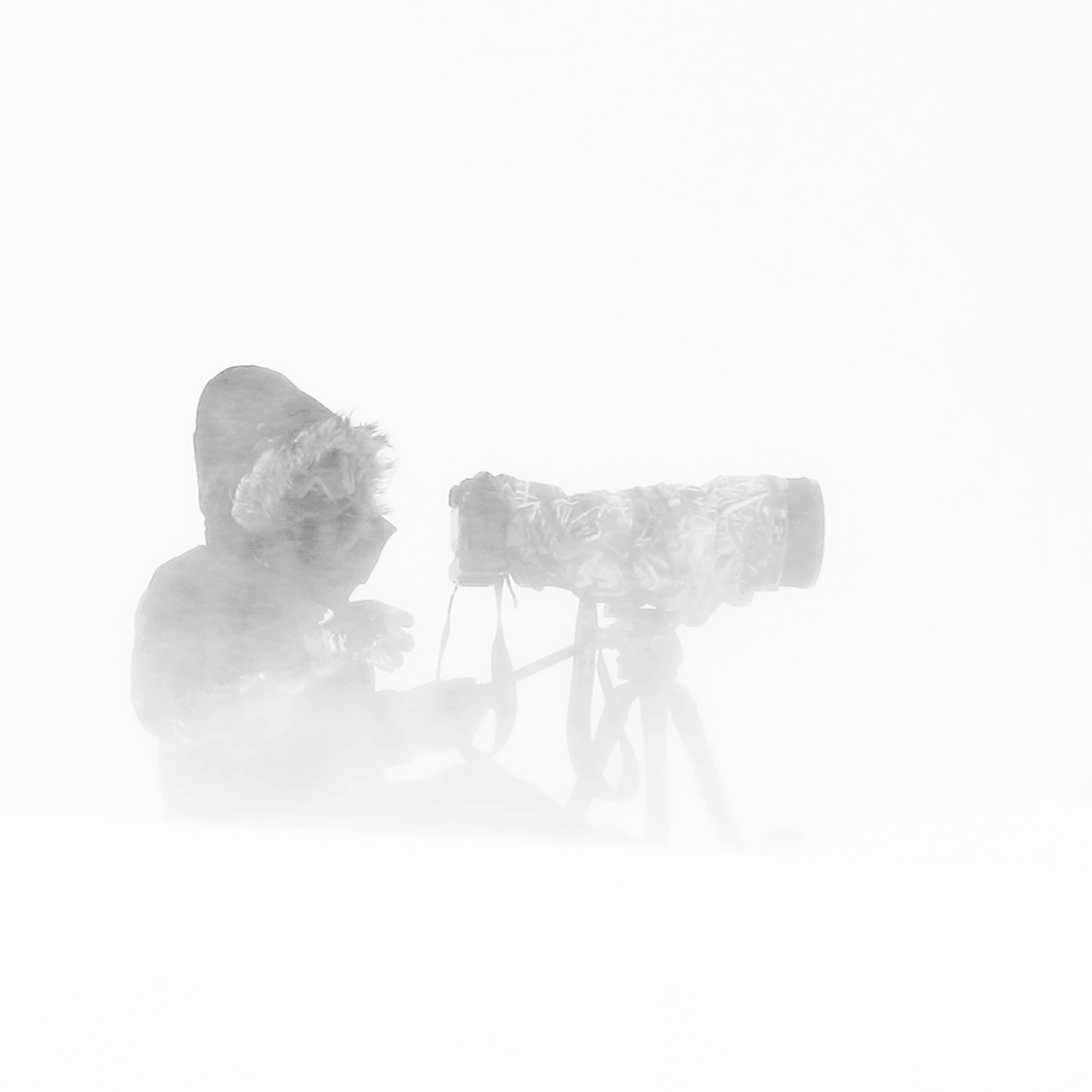Der Wildtierfotograf Michel d'Oultremont bei der Arbeit