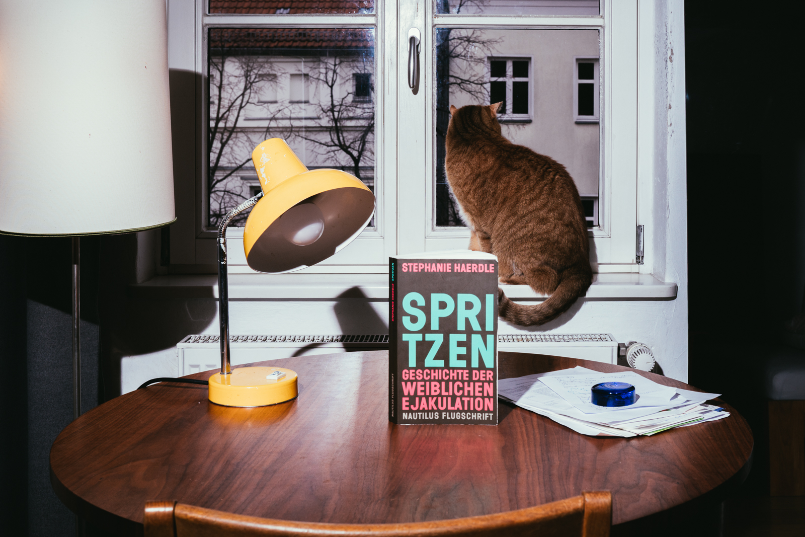 Das Buch Spritzen über weibliche Ejakulation steht auf einem Tisch, dahinter sitz ein Kater auf der Fensterbank