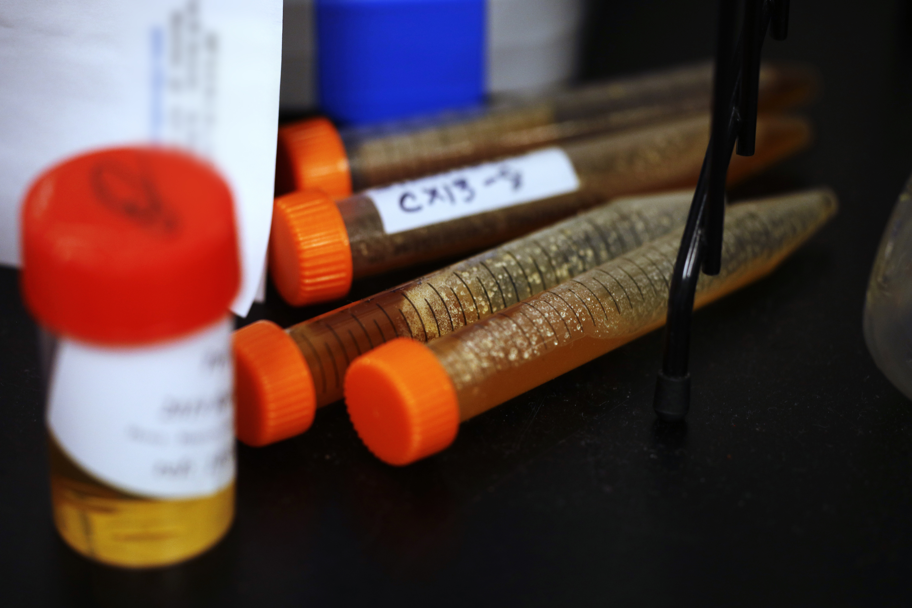 Honey samples