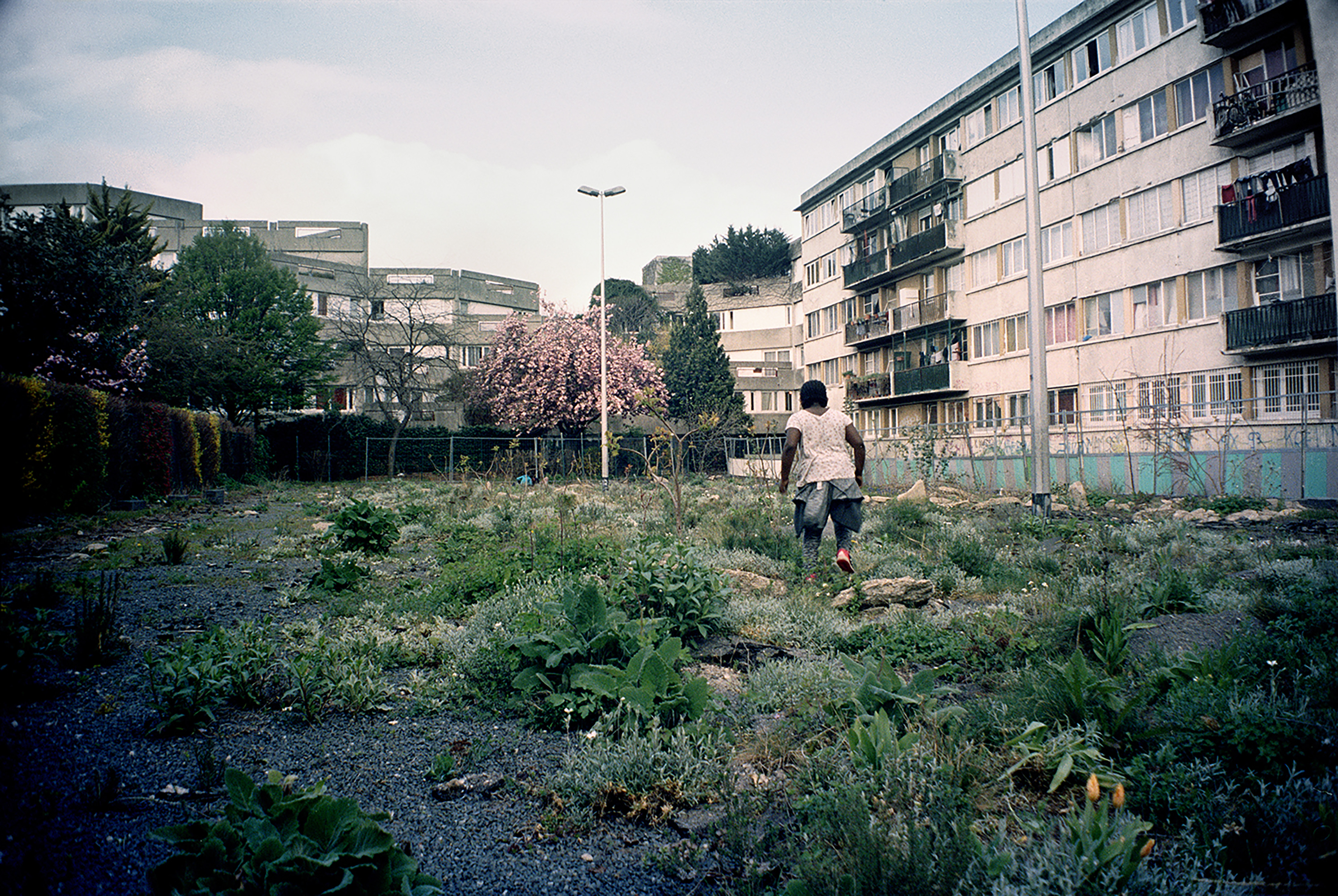 Photo de Marvin Bonheur