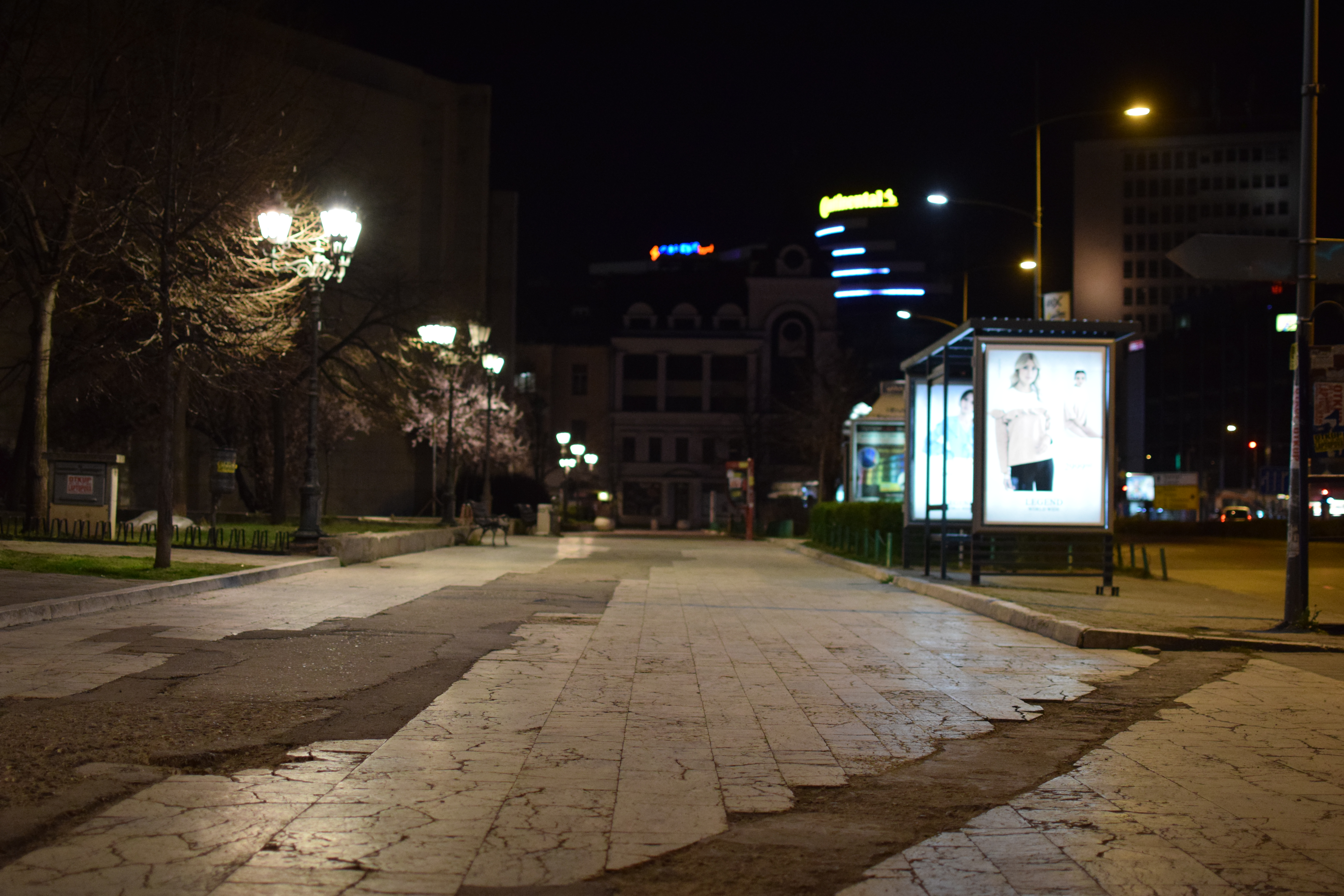 1584701882890-DSC_0046