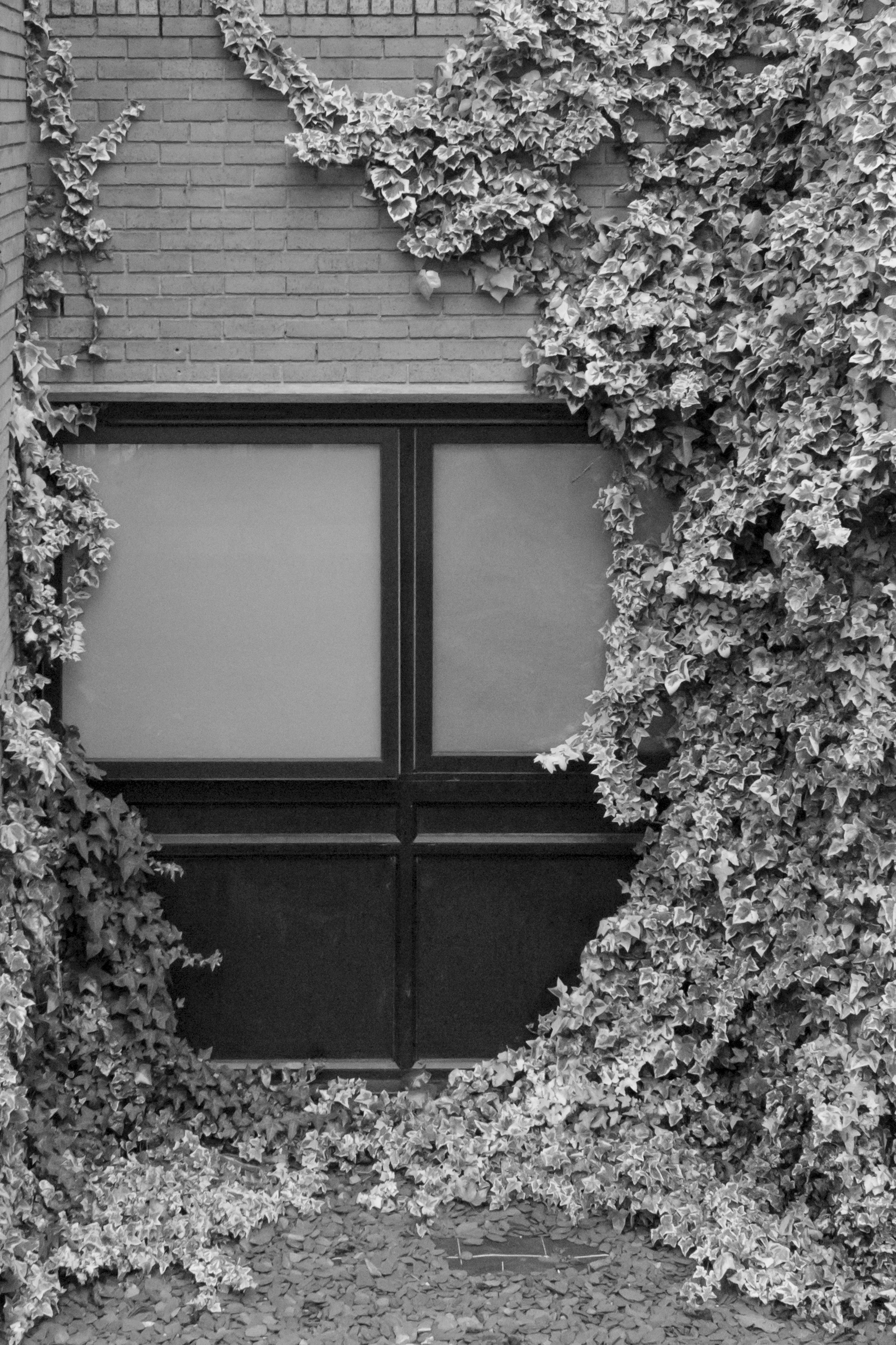 caleb stein photography