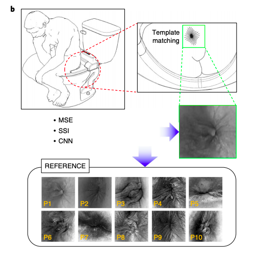 A smart toilet could identify you by your 'analprint' and detect