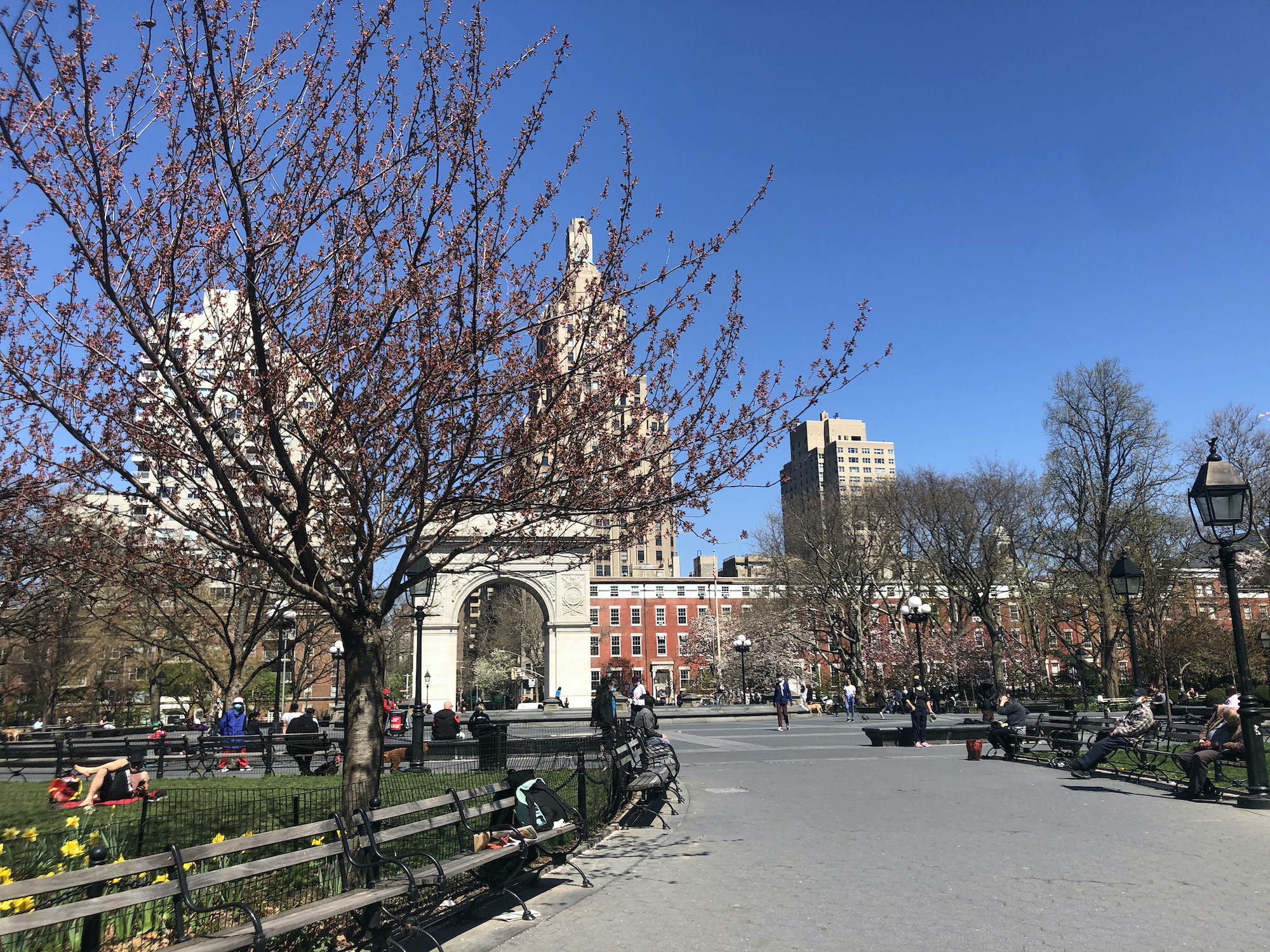 Washington Square Park in New York City