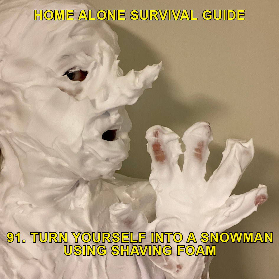 1586346690814-HOME-ALONE-SURVIVAL-GUIDE-day-156