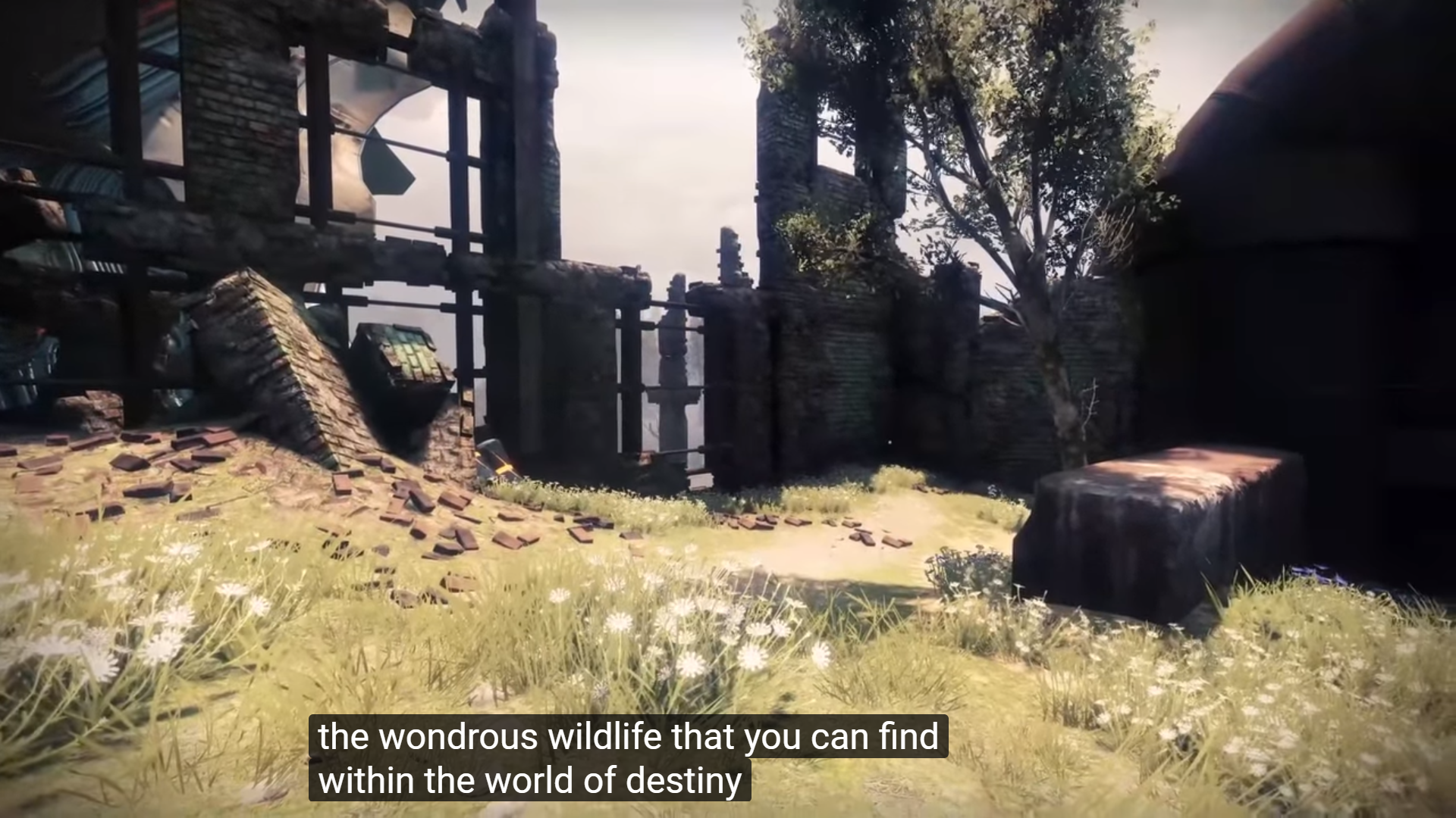 1586871033057-Screenshot-6571