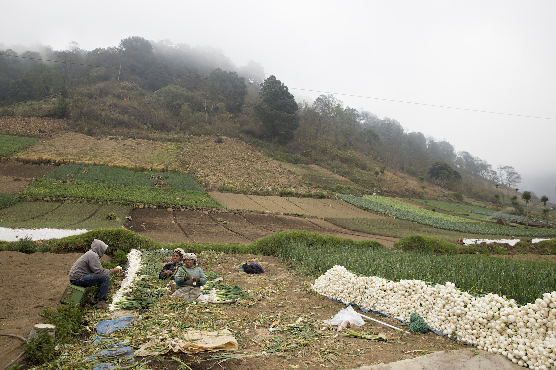 Zunil, Guatemala.