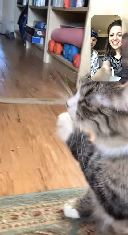 A screenshot of my FaceTime call with Olive