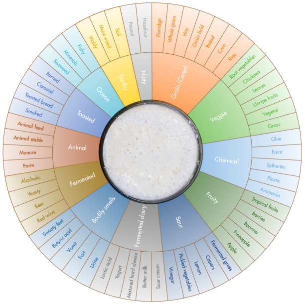 Researchers Want To Know What Your Sourdough Starter Smells Like