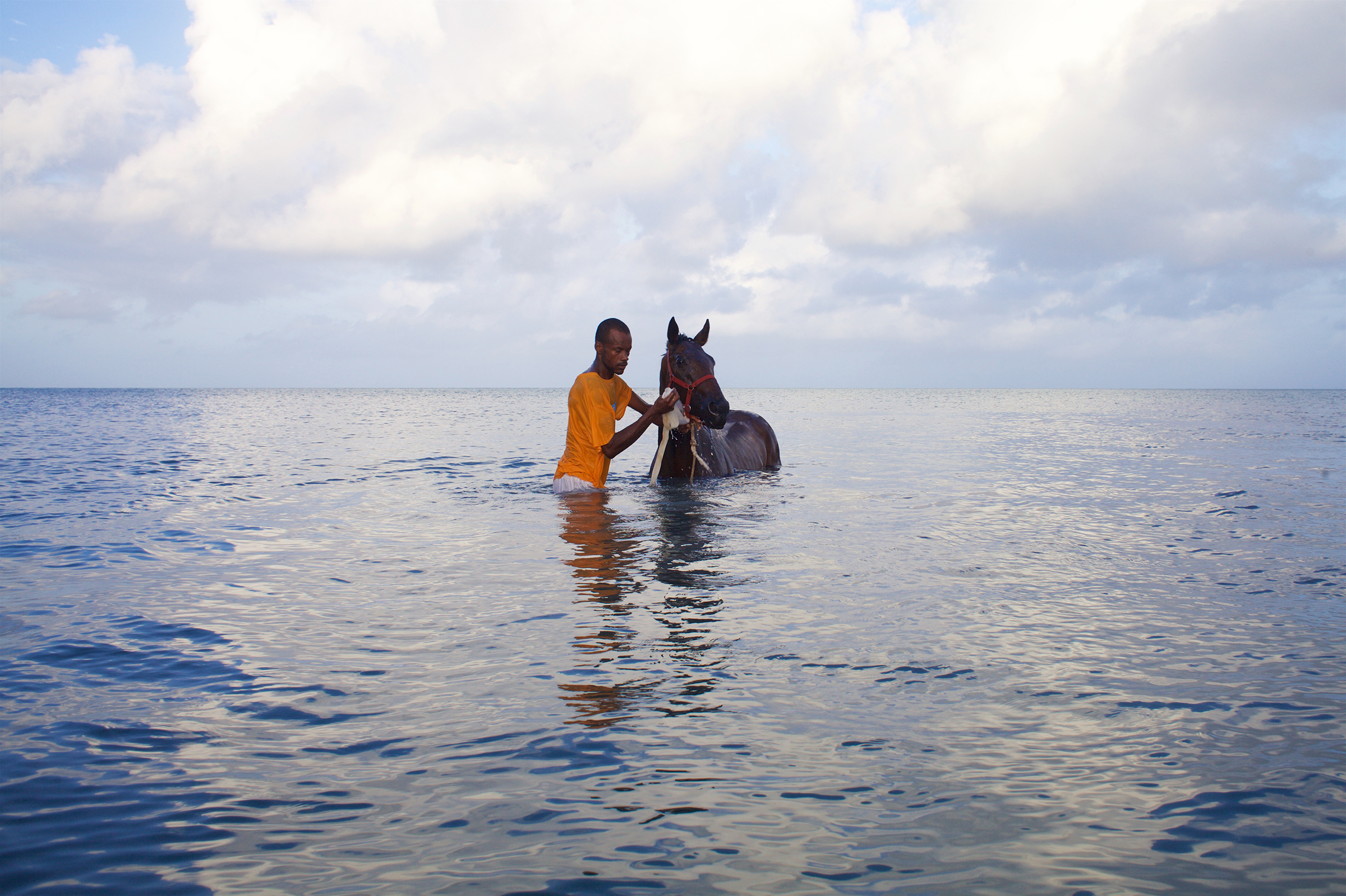 Caballo agua Andy Vanegas