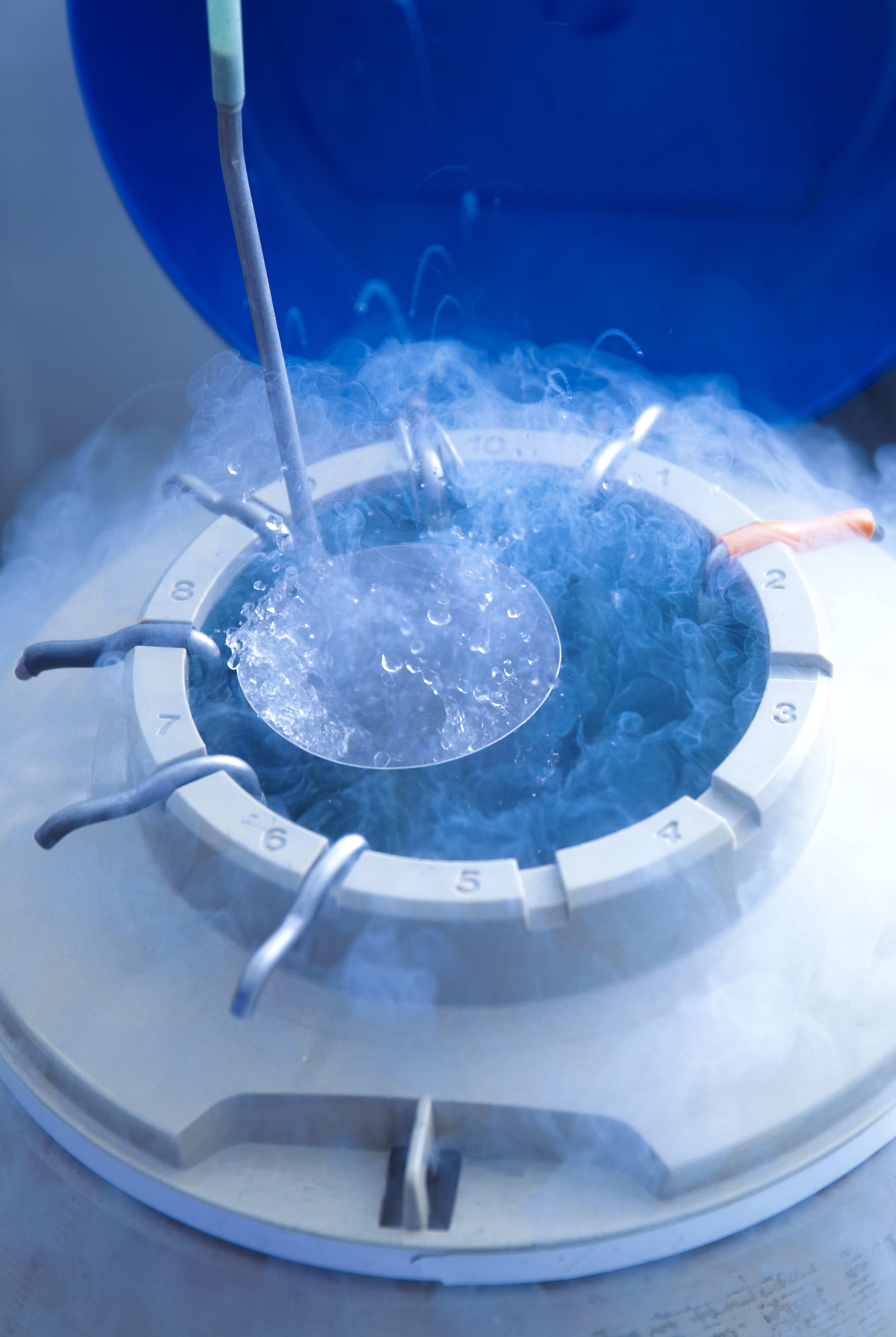 Egg storage for IVF. Tube of eggs in cryogenic (frozen) storage