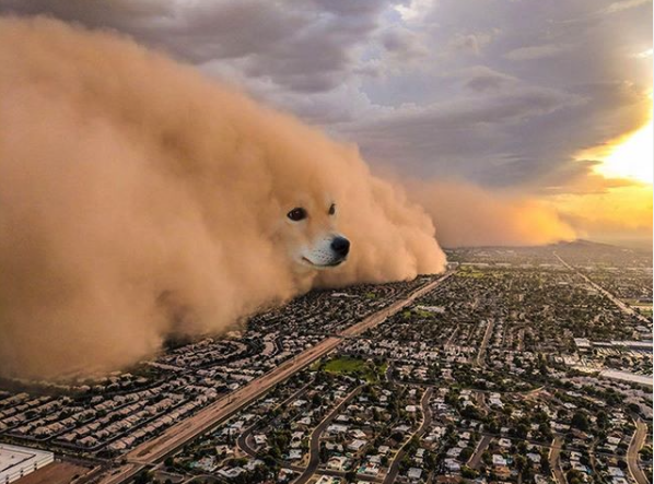 Ein Corgi als Sandsturm, der über eine Stadt hinwegfegt