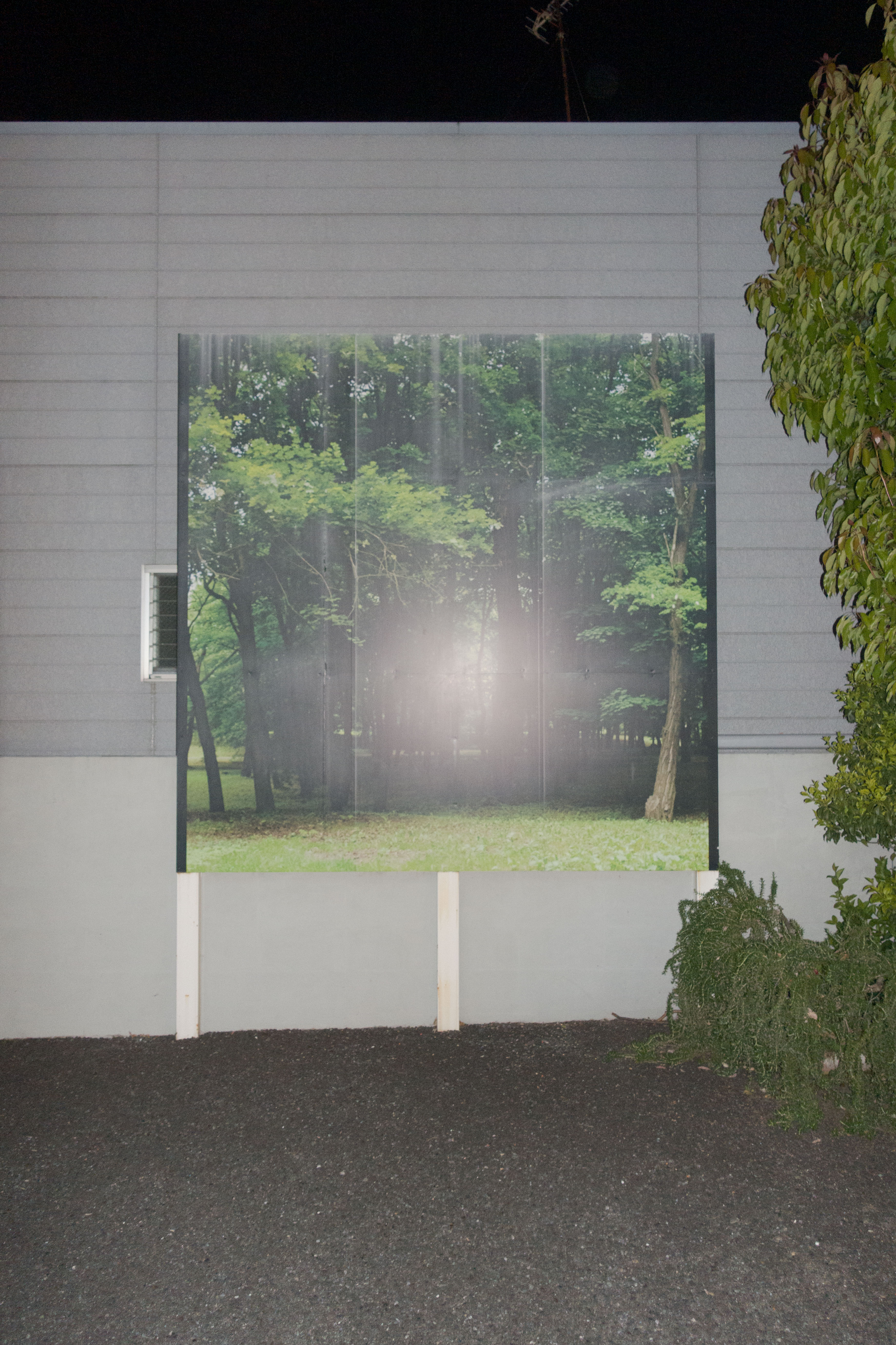 Kisshomaru Shimamura, quarantine in photos