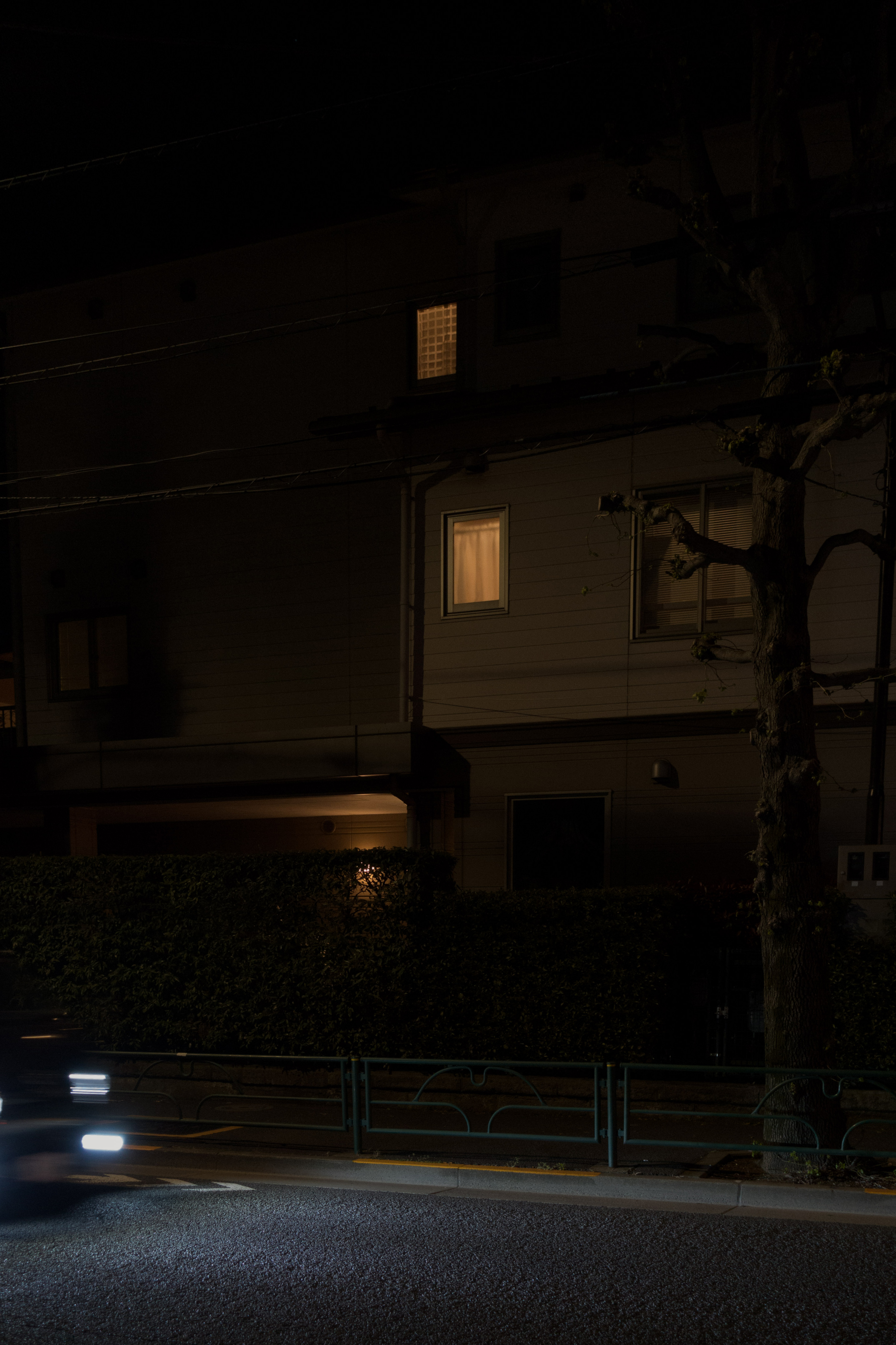 Kisshomaru Shimamura, quarantine in photos