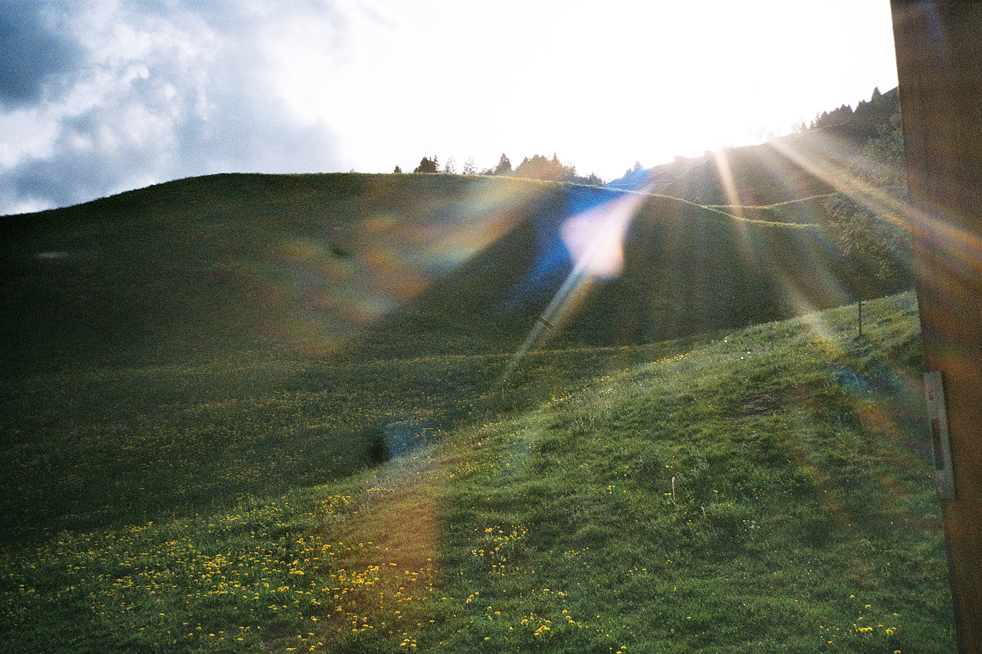 Eine Wieder in den Bergen, die Sonne scheint