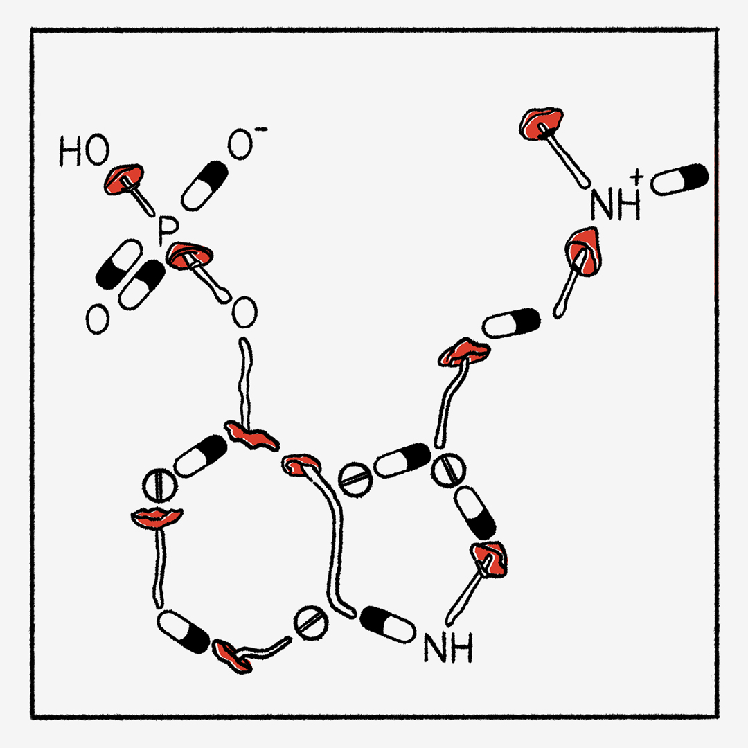 the molecular breakdown of medical mushrooms