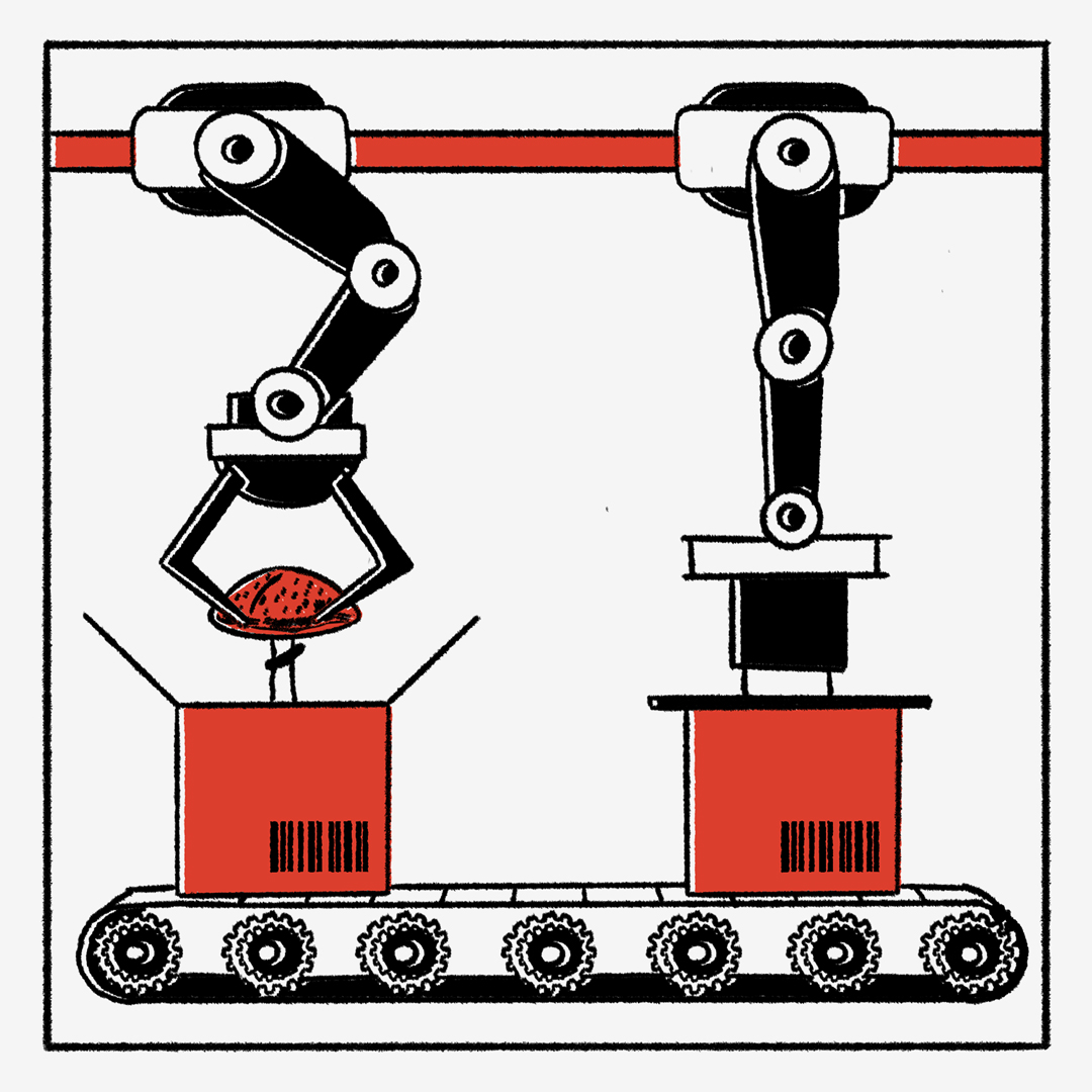 mushroom pills on the factory line