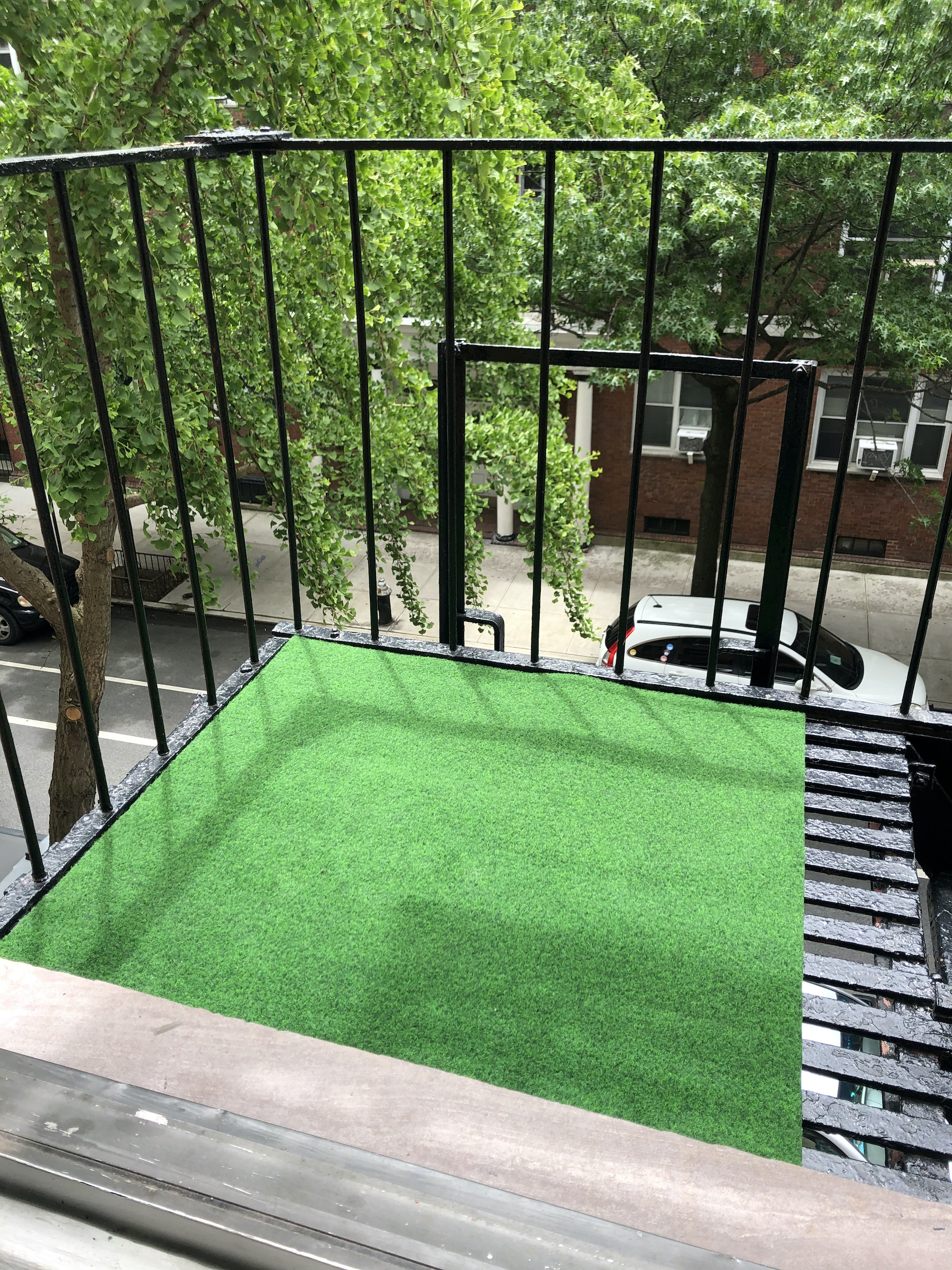 Turf on the fire escape