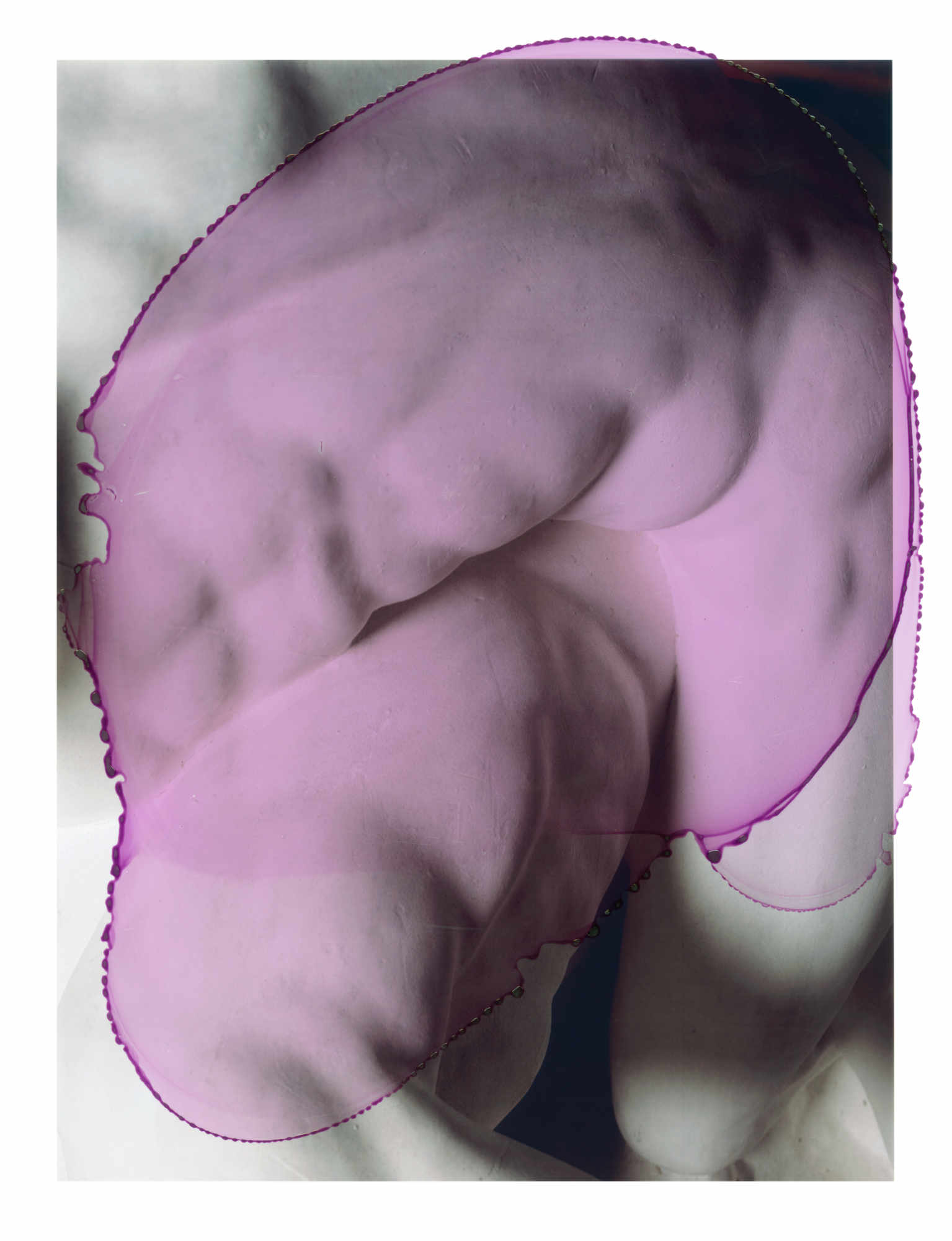 VIVIANE SASSEN: VENUS & MERCURY - (SASSEN, VIVIANE) Text by