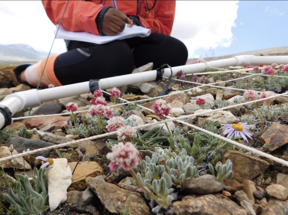 Black person studying plants