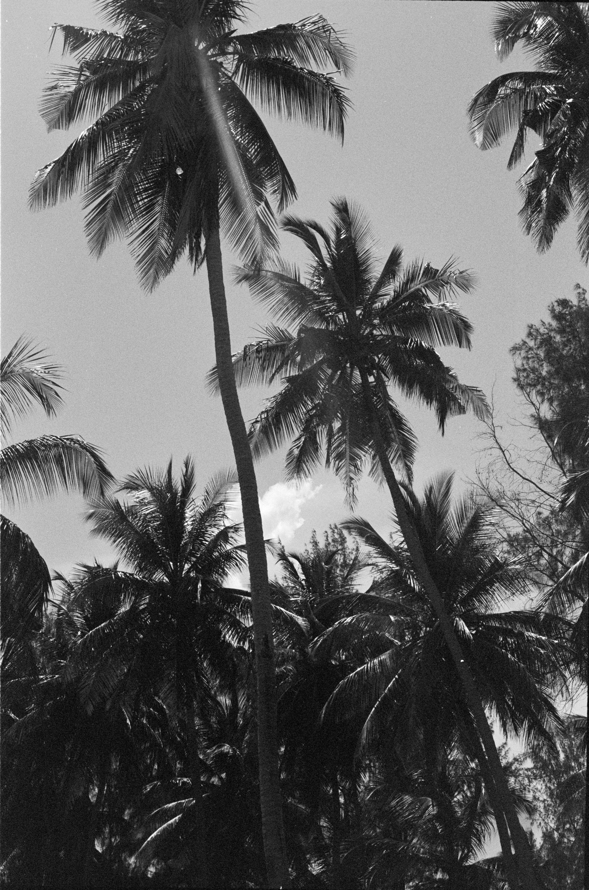 foto-reportage-zanzibar-tanzania-antonio-perrone