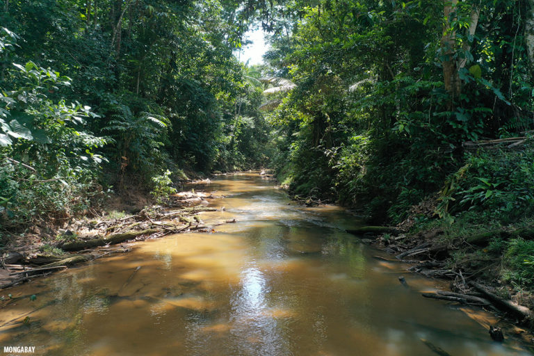 Río en la Amazonía de Colombia. Foto: Rhett Butler.