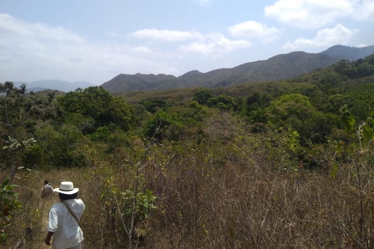  Paisaje en la Sierra Nevada de Santa Marta. Foto: Applied Biodiversity Foundation.