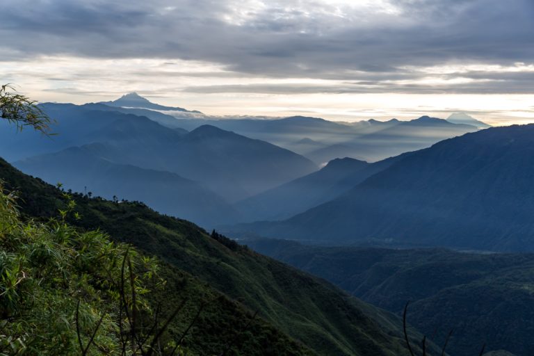  El bosque húmedo del Chocó-Darién es un punto caliente de biodiversidad que alberga casi 100 especies de mamíferos. Foto: Sebastián Crespo - CONDESAN.