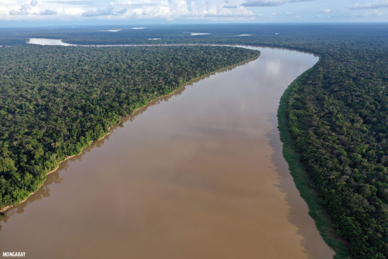 FOTO 6 - El río Javari en la Amazonía peruana. Foto: Rhett A. Butler.