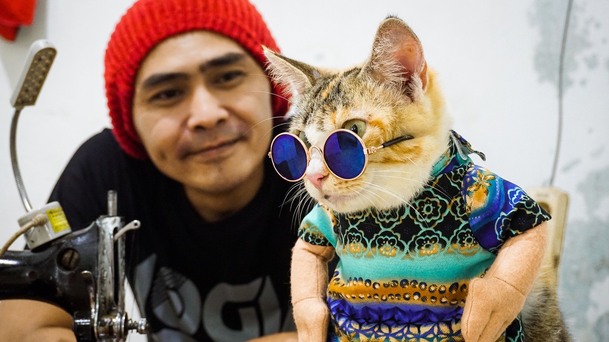  Desainer Baju  Kucing Imut Cirebon Viral di Instagram