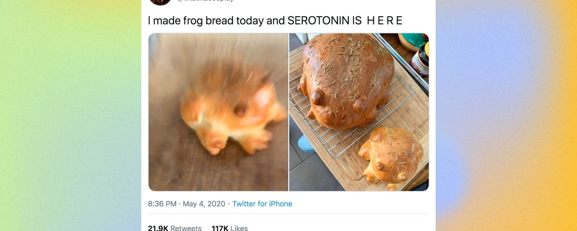 Please Enjoy The Absurd Delight Of Frog Bread