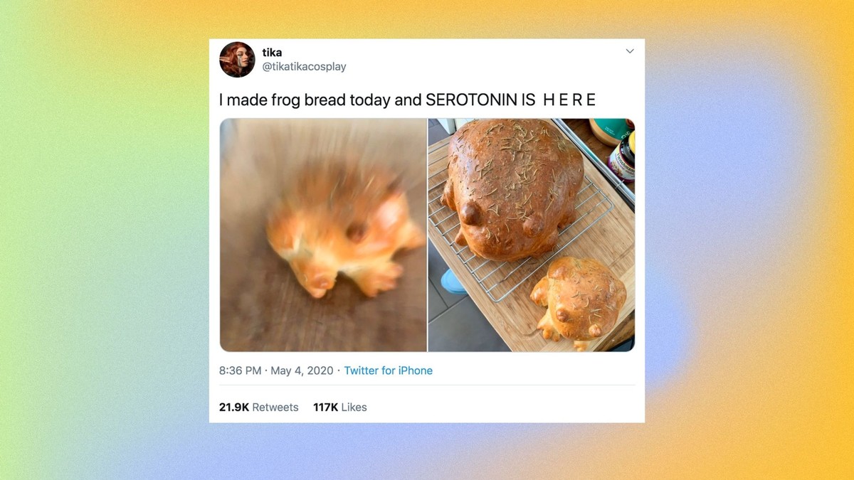 Please Enjoy the Absurd Delight of Frog Bread