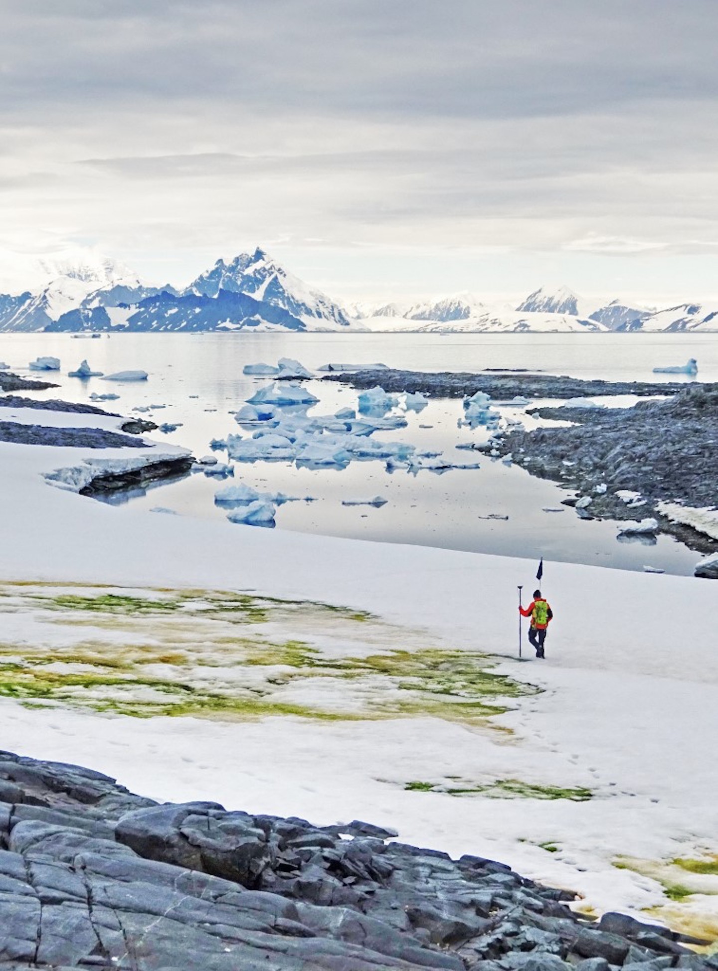 Artificial snow could save the Antarctic, researchers suggest – The New  Economy