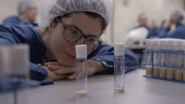 inside the dark matter lab buried over