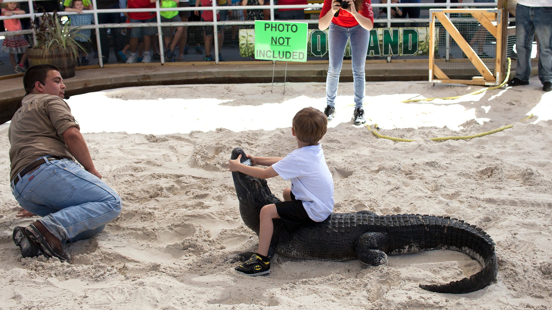 Gator Wrestling Is Preserving Florida's Independent Tourism Industry
