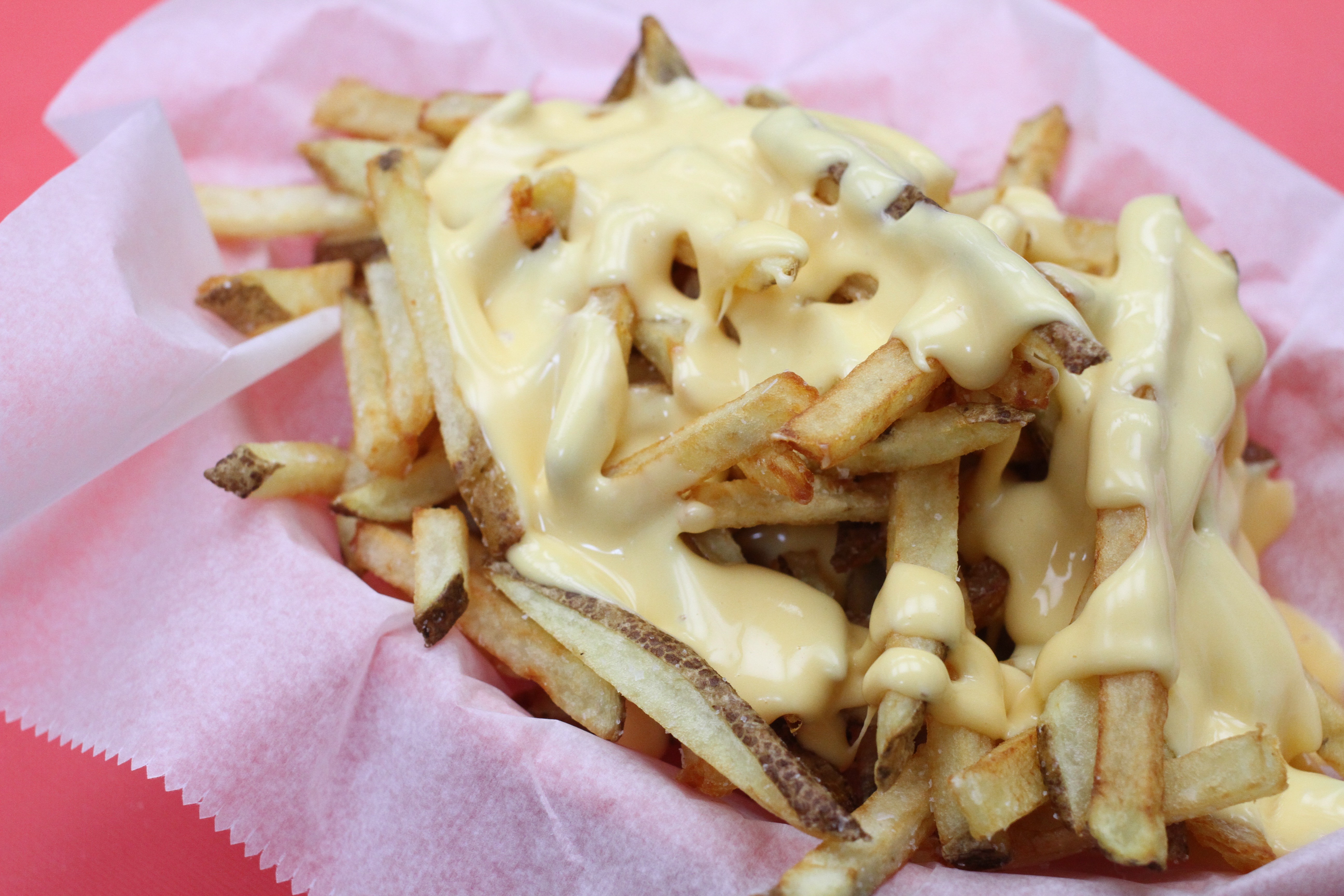 Homemade French Fries - STOCKPILING MOMS™