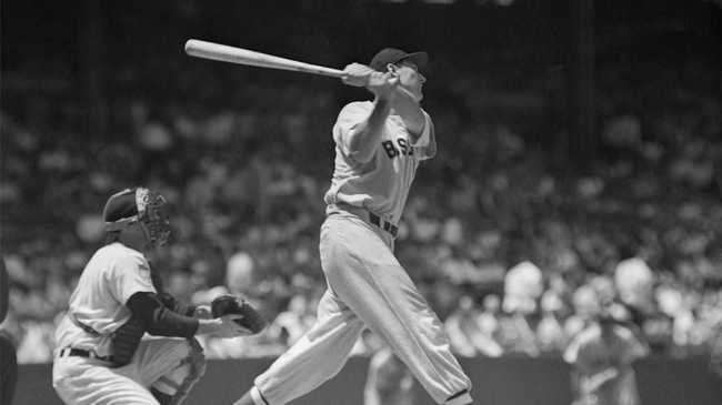 Ted Williams' decapitated head was once cryonically preserved in a  Frankenstein-like plan to resurrect him in the future