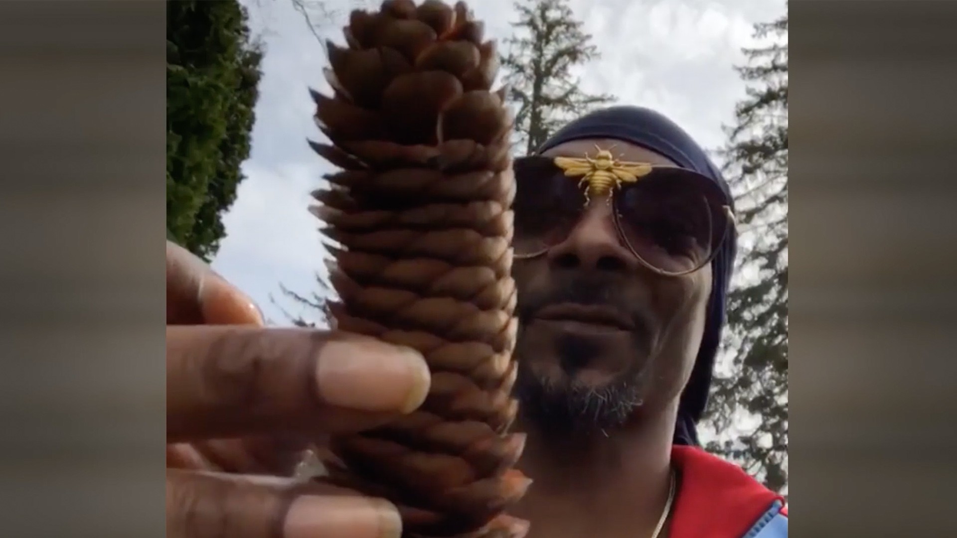 Snoop Dogg Made the Guinness World Record for Biggest Cocktail with a Giant  Gin and Juice