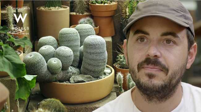 Cactus Vice Video Documentaries Films News Videos